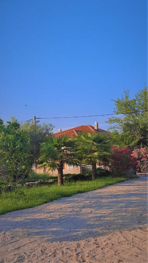 Holiday House Vela Vrta Sveti Ivan Dobrinjski エクステリア 写真