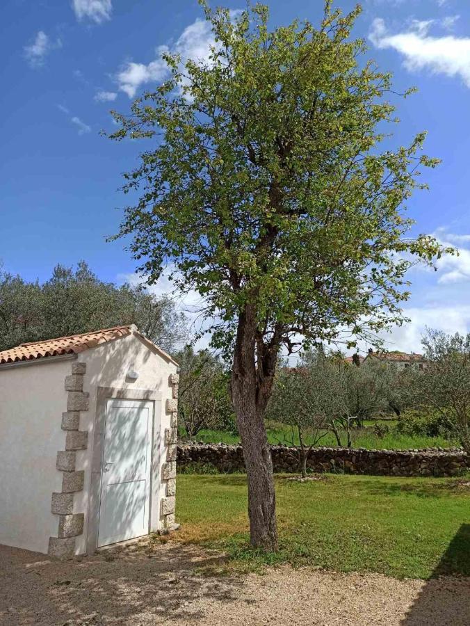 Holiday House Vela Vrta Sveti Ivan Dobrinjski エクステリア 写真